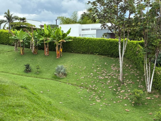 Casa de 3 alcobas en venta en Vía El Caimo, Armenia, 246 m² · foto 8 de 20