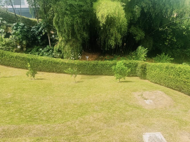 Casa de 3 alcobas en venta en Vía El Caimo, Armenia, 246 m² · foto 10 de 20