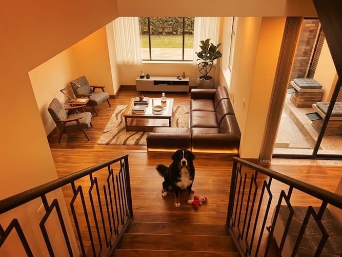 Casa en venta en Fagua, Chía · foto 4 de 21