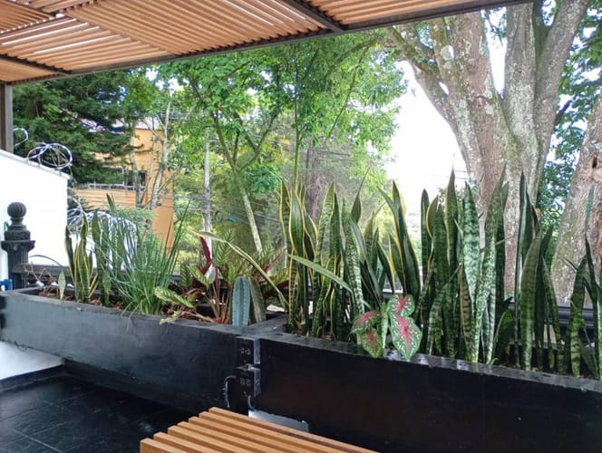 Oficina en venta en El Diamante No. 2, Medellín, 280 m² · foto 6 de 24