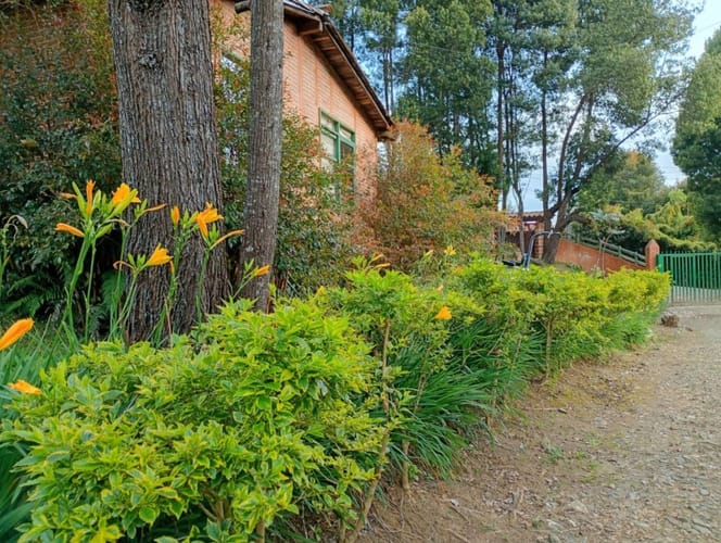 Casa de 4 alcobas en venta en Barro Blanco, Medellín, 1200 m² · foto 7 de 14