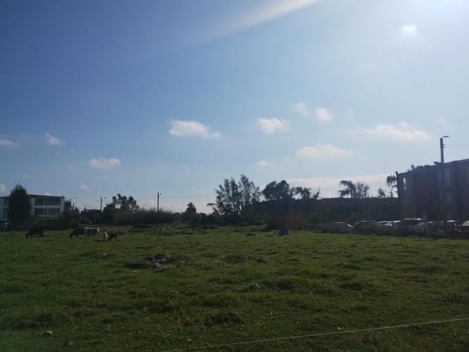 Lote en venta en Echavarria, Madrid, 9840 m² · foto 10 de 24
