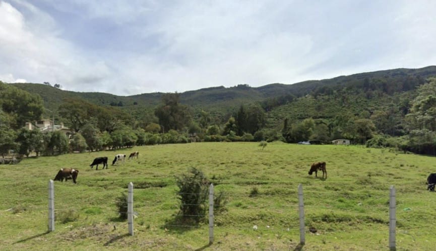 Lote en venta en Fusca, Chía · foto 2 de 8