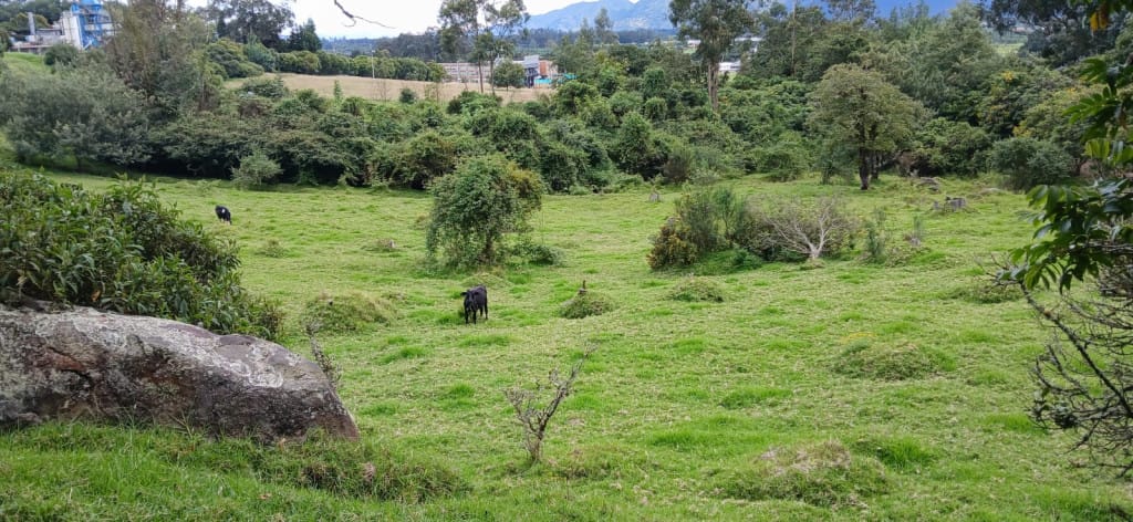 Lote en venta en Fusca, Chía · foto 8 de 8