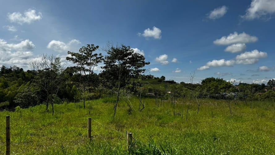 Lote en venta en Condina, Pereira, 24000 m² · foto 4 de 6