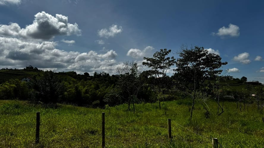 Lote en venta en Condina, Pereira, 24000 m² · foto 5 de 6