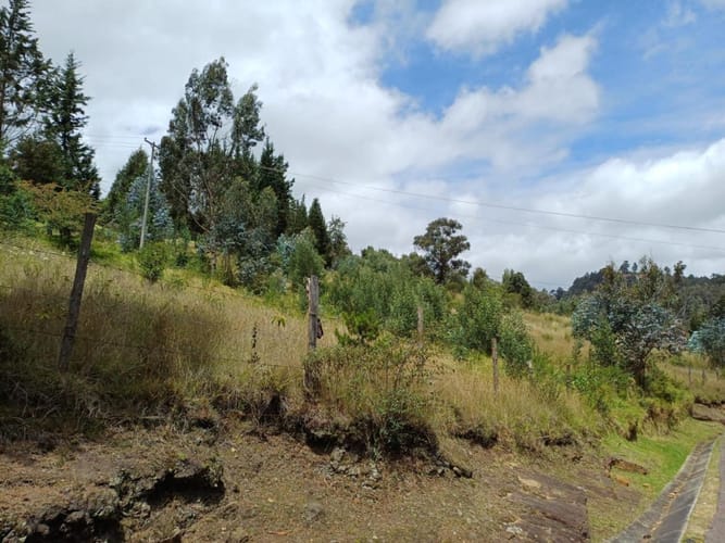Lote en venta en Yerbabuena, Chía, 10000 m² · foto 3 de 6