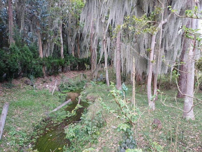 Lote en venta en Yerbabuena, Chía, 10000 m² · foto 4 de 6