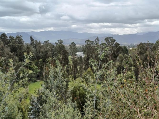 Lote en venta en Yerbabuena, Chía, 10000 m² · foto 5 de 6