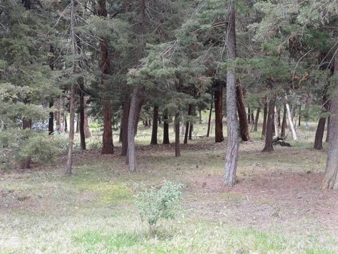 Lote en venta en Yerbabuena, Chía, 10000 m² · foto 6 de 6