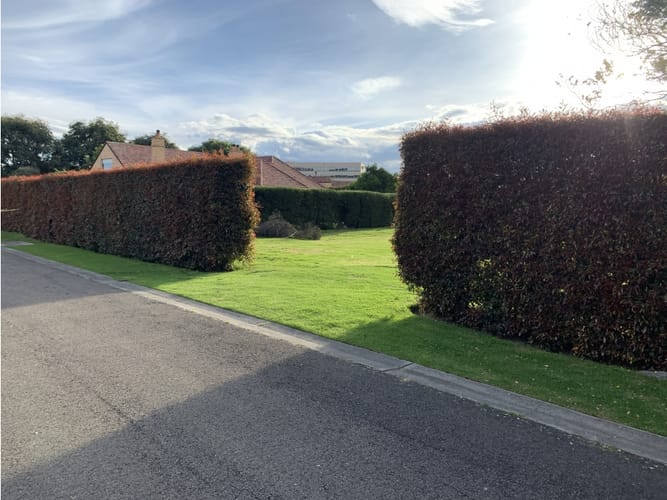 Lote en venta en Santa Ana De Chia, Chía, 1051 m² · foto 5 de 13