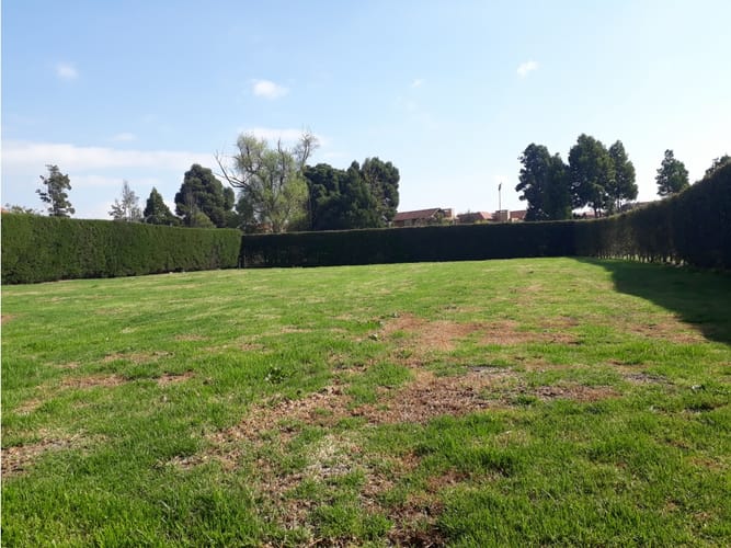 Lote en venta en Santa Ana De Chia, Chía, 1055 m² · foto 6 de 10