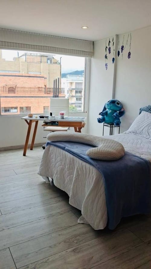 Apartamento en venta en San Patricio, Bogotá · foto 4 de 17