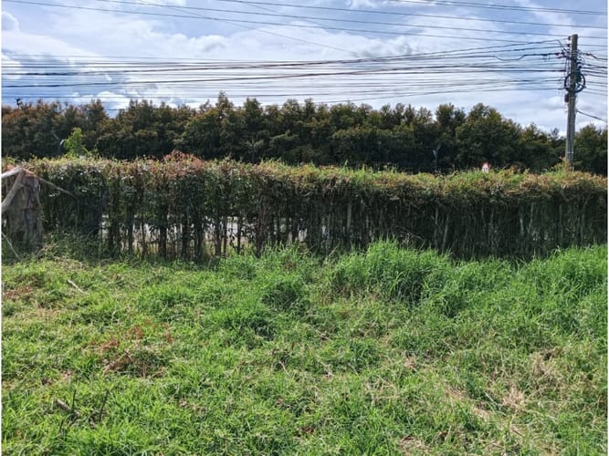 Lote en venta en El Tambo, La Ceja, 322 m² · foto 5 de 7