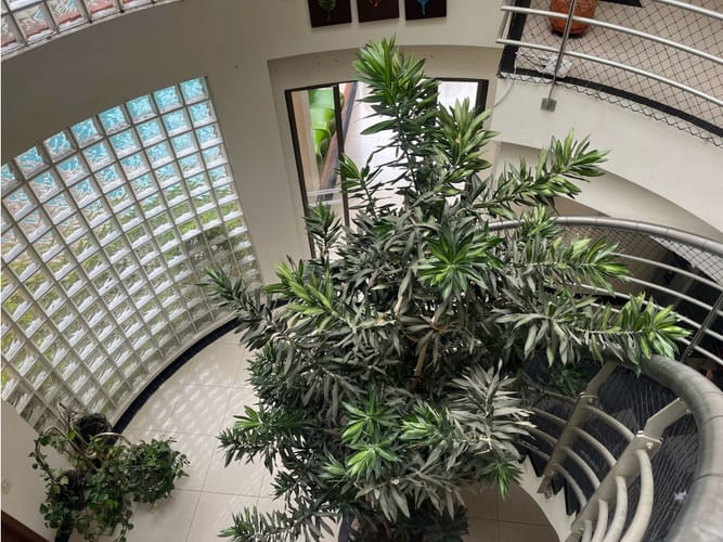 Casa de 6 alcobas en venta en Loma De San Jose, Sabaneta, 500 m² · foto 2 de 15