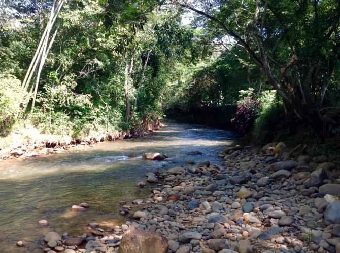Casa de 4 alcobas en venta en Parque Natura, Jamundí · foto 19 de 23