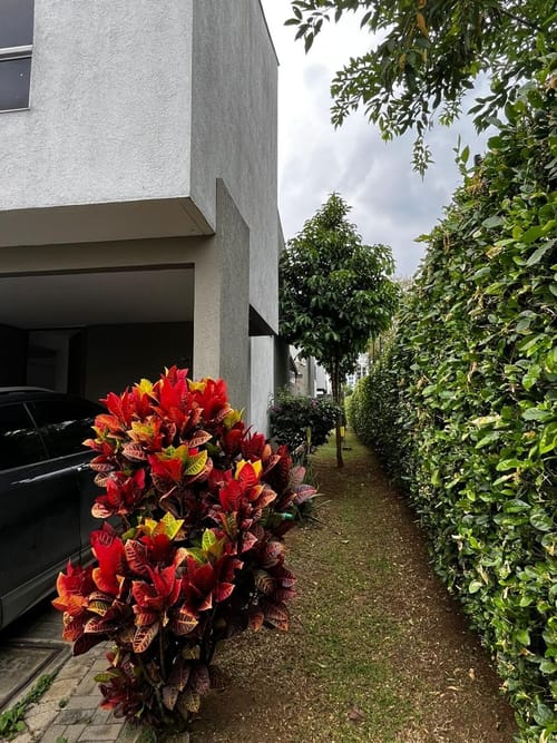 Casa de 3 alcobas en venta en Ciudad Country, Jamundí, 86 m² · foto 3 de 24