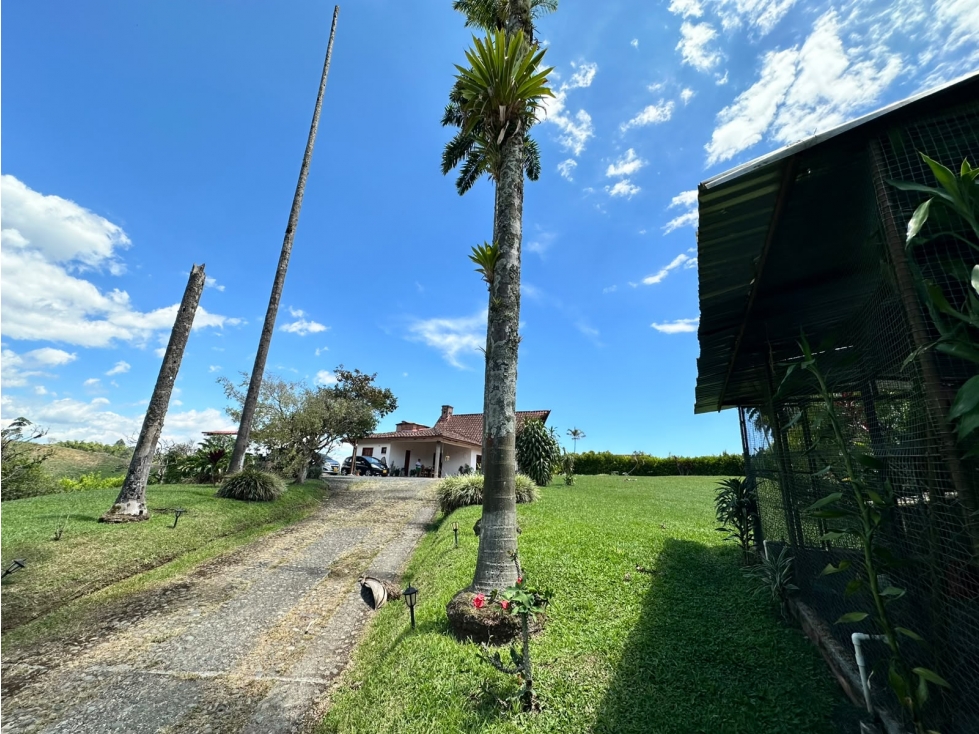 Casa en venta en Tribunas Corcega, Pereira · foto 4 de 24