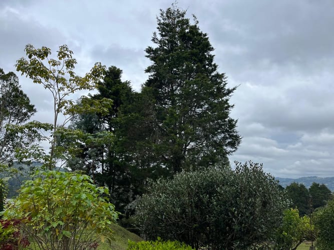 Finca en arriendo en San Jose, Guarne, 230 m² · foto 17 de 21