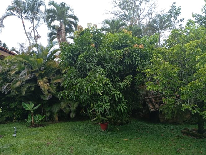 Casa de 3 alcobas en venta en Pance, Cali, 245 m² · foto 20 de 22