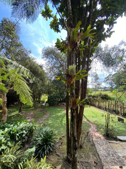 Finca en arriendo en El Salado, El Carmen de Viboral, 330 m² · foto 16 de 23