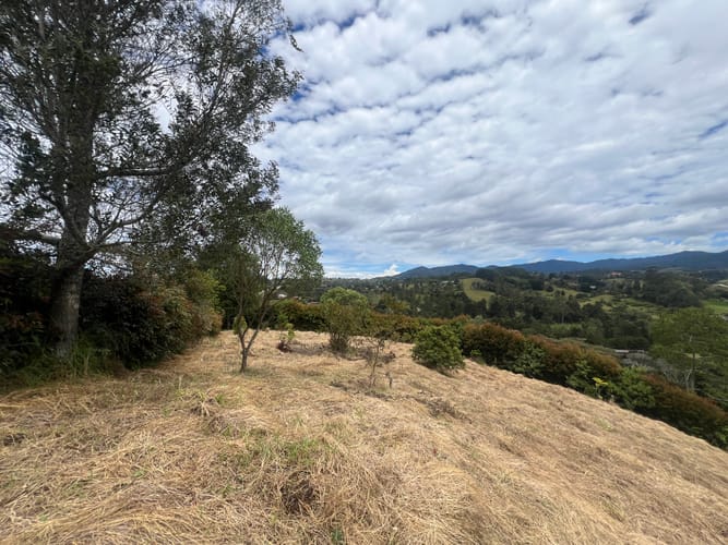 Lote en venta en Santa Elena, El Retiro, 3900 m² · foto 7 de 12