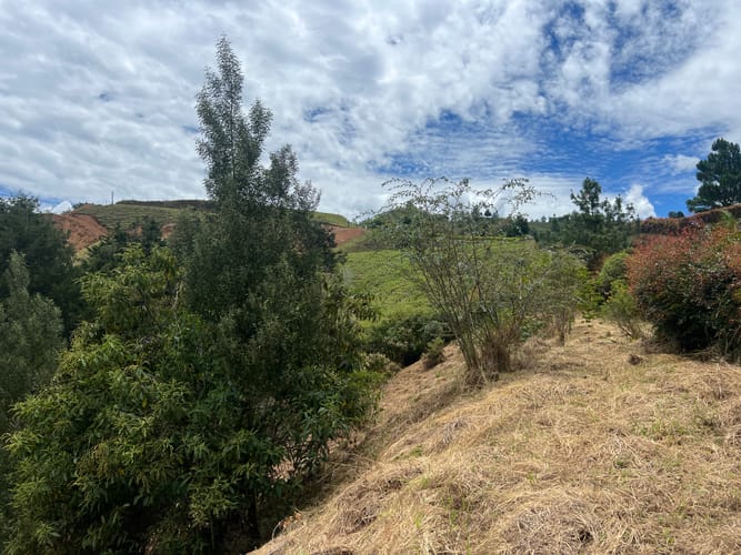 Lote en venta en Santa Elena, El Retiro, 3900 m² · foto 8 de 12