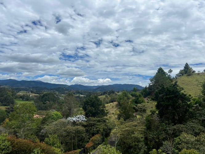 Lote en venta en Santa Elena, El Retiro, 3900 m² · foto 9 de 12