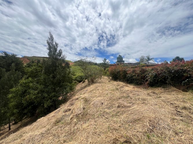 Lote en venta en Santa Elena, El Retiro, 3900 m² · foto 10 de 12