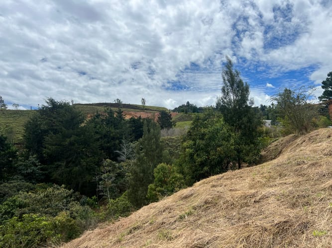 Lote en venta en Santa Elena, El Retiro, 3900 m² · foto 11 de 12