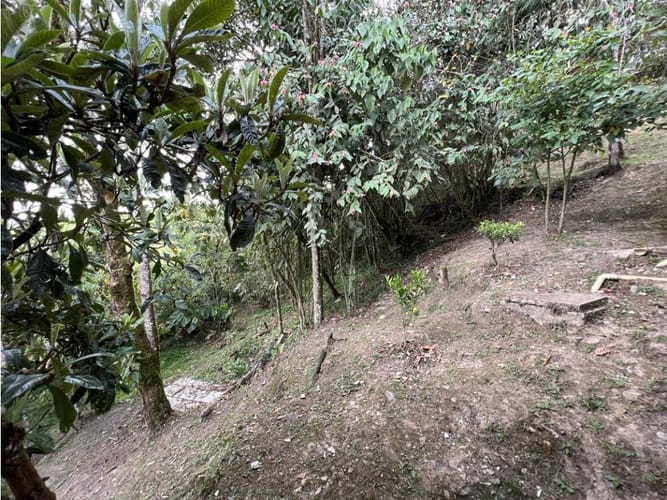 Casa de 4 alcobas en venta en Bellavista, Bello, 110 m² · foto 6 de 11