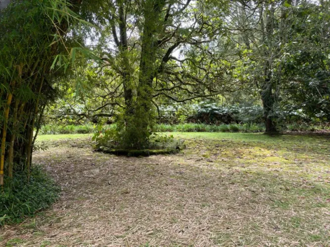 Casa de 4 alcobas en venta en El Retiro · foto 5 de 20
