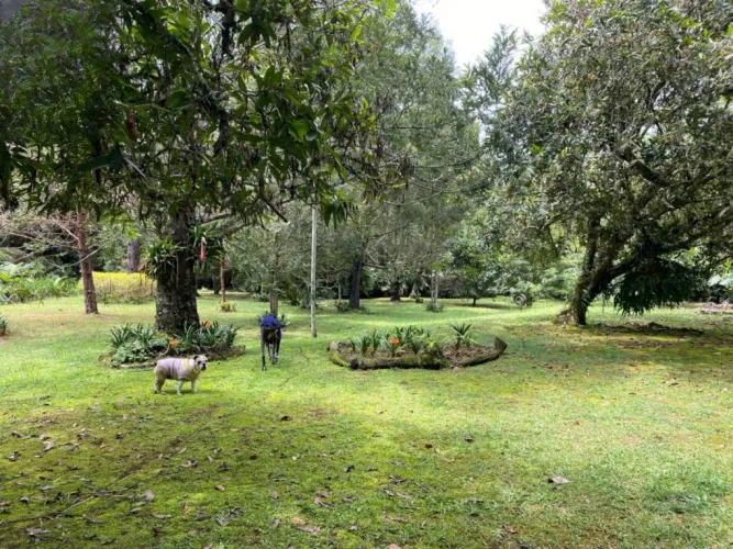 Casa de 4 alcobas en venta en El Retiro · foto 7 de 20