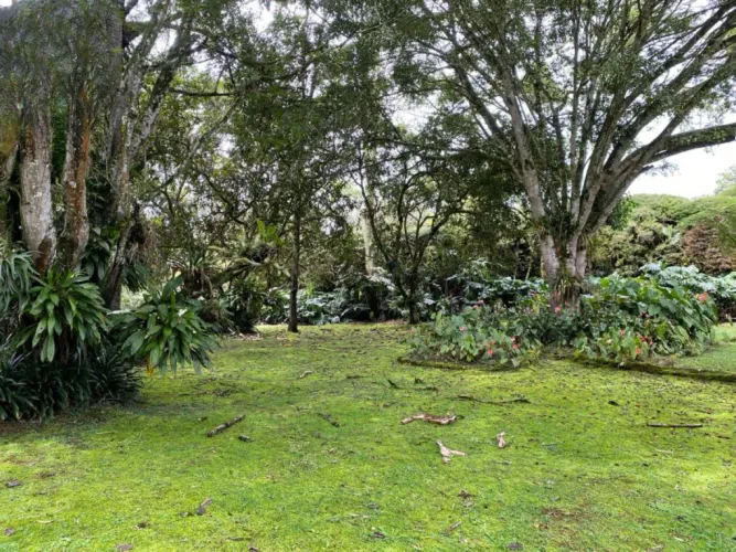 Casa de 4 alcobas en venta en El Retiro · foto 8 de 20