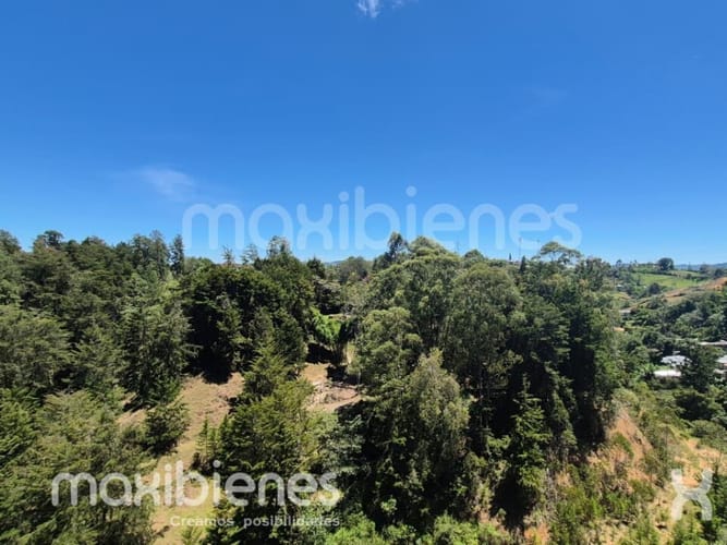 Apartamento de 2 alcobas en venta en Santa Ana, Rionegro, 50 m² · foto 11 de 11
