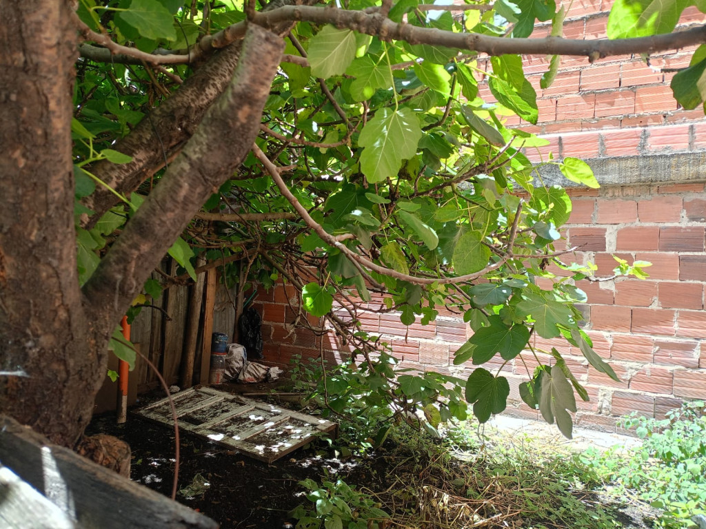 Casa en venta en Britalia, Bogotá · foto 17 de 18