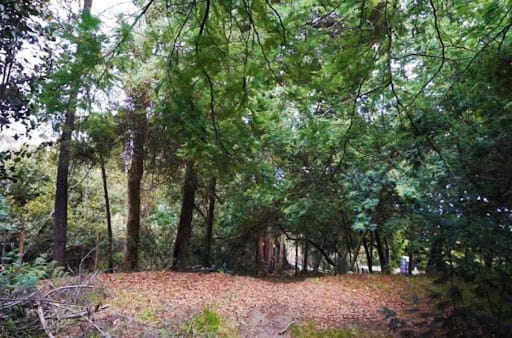 Lote en venta en Yerbabuena, Sopó, 2098 m² · foto 7 de 14