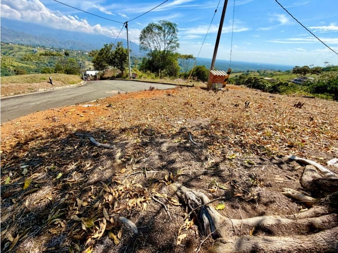 Lote en venta en Potrerito, Jamundí, 1652 m² · foto 4 de 24