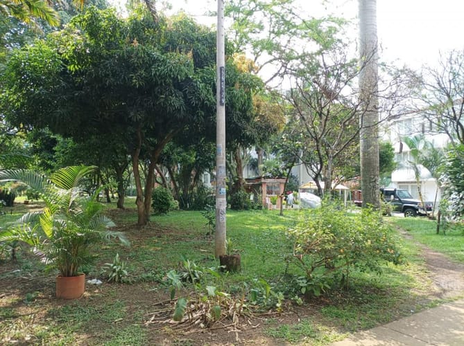 Local en arriendo en Caney, Cali, 20 m² · foto 6 de 14