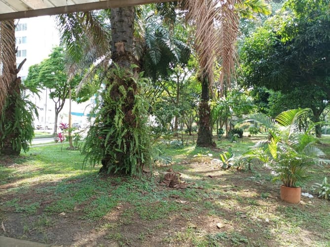 Local en arriendo en Caney, Cali, 20 m² · foto 12 de 14