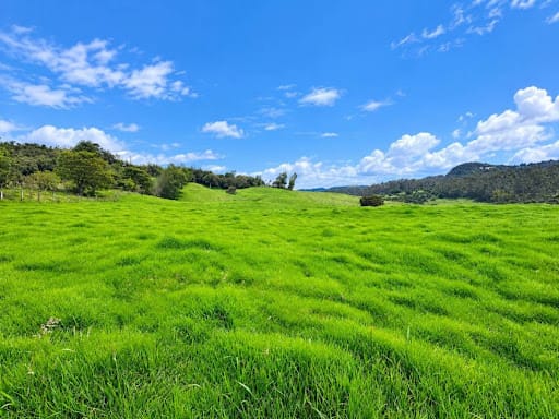 Lote en venta en El Volcan, La Calera, 450 m² · foto 2 de 10