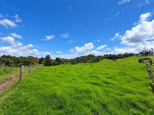 Lote en venta en El Volcan, La Calera, 450 m² · foto 4 de 10