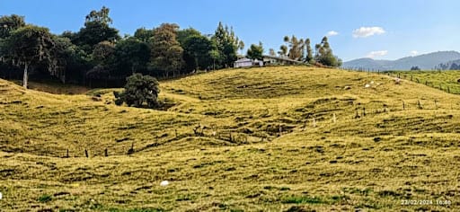 Lote en venta en El Volcan, La Calera, 450 m² · foto 6 de 10