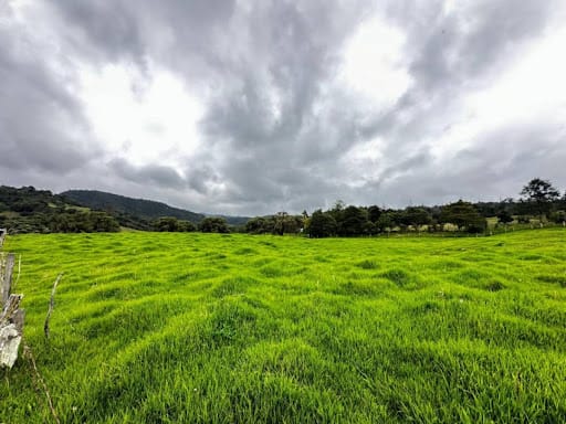 Lote en venta en El Volcan, La Calera, 450 m² · foto 7 de 10