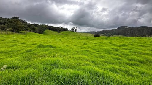 Lote en venta en El Volcan, La Calera, 450 m² · foto 8 de 10