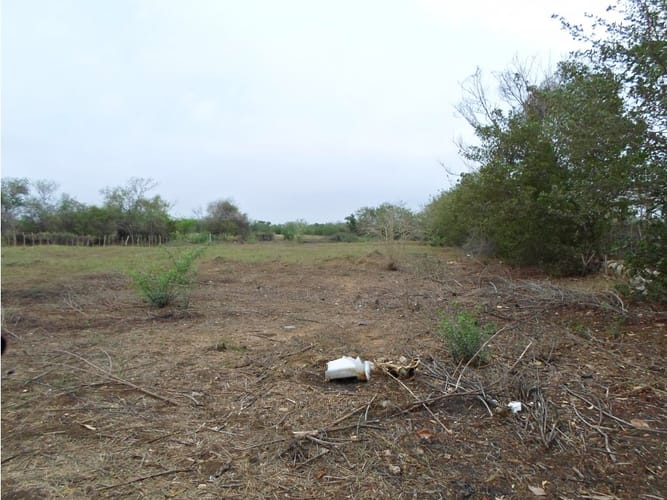 Lote en venta en Cartagena De Indias, Cartagena, 10000 m² · foto 2 de 3