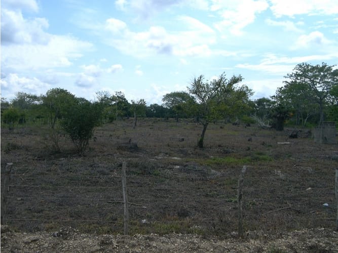 Lote en venta en Cartagena De Indias, Cartagena, 17500 m² · foto 3 de 12