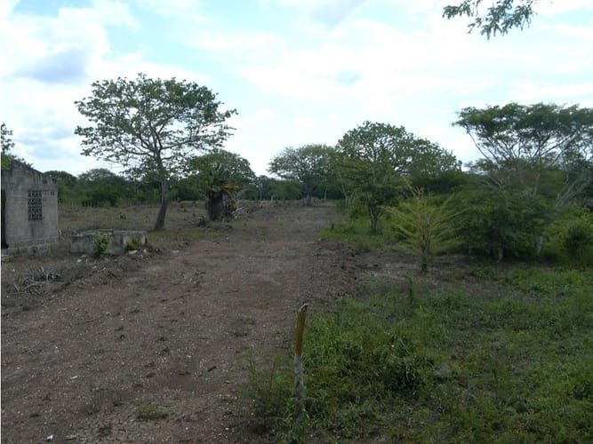 Lote en venta en Cartagena De Indias, Cartagena, 17500 m² · foto 5 de 12