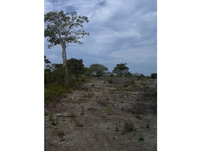 Lote en venta en Cartagena De Indias, Cartagena, 17500 m² · foto 11 de 12