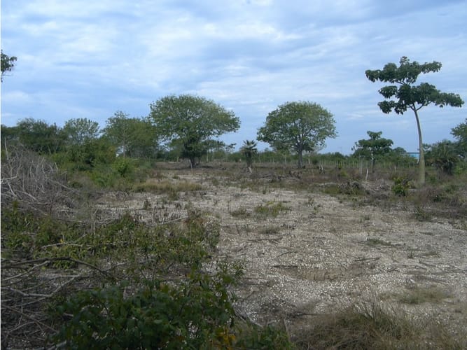 Lote en venta en Cartagena De Indias, Cartagena, 17500 m² · foto 12 de 12